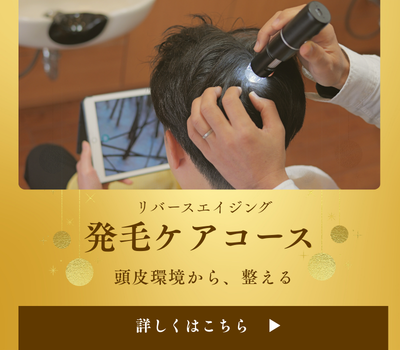 発毛ケアコース