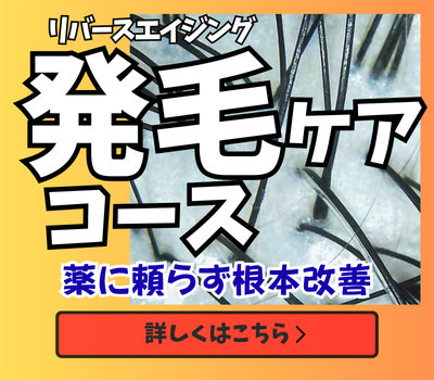 発毛ケアコース