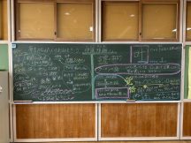 最新のブログ記事