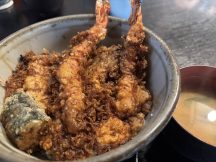 最新のブログ記事